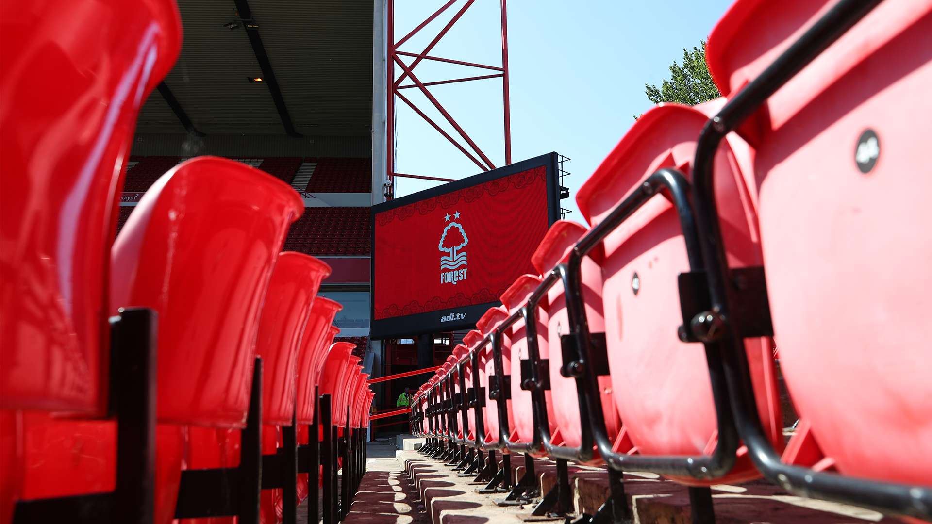 变及适应多 变及适应多